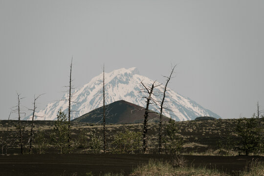 银山