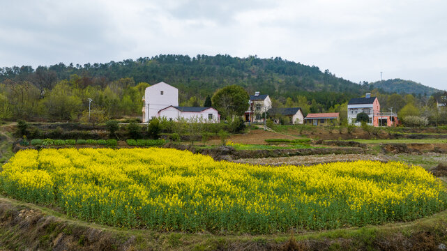 湖北京山美丽乡村