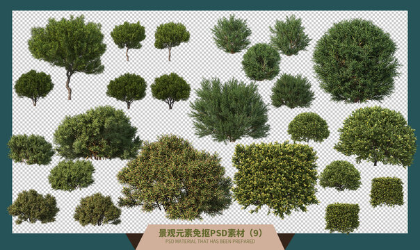 24款景观常用灌木小树素材