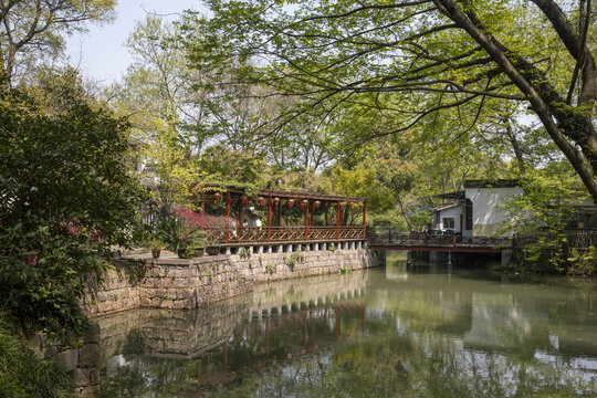 树林河边背景