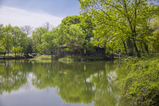 杭州西溪湿地