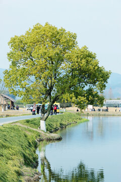 良渚遗址文化公园