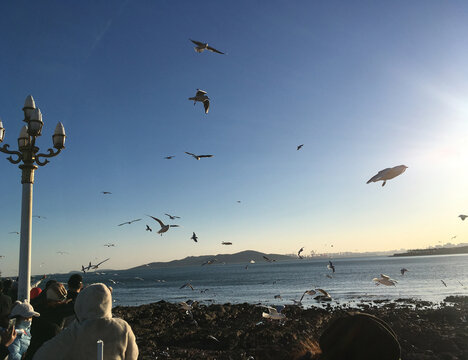 青岛冬天的海欧