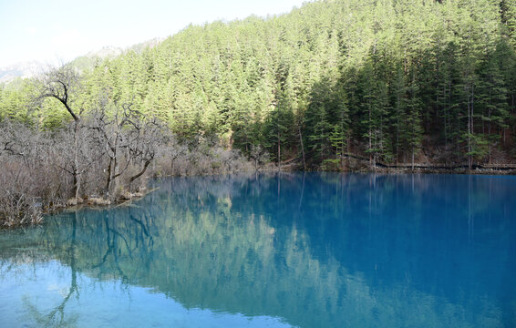 九寨沟老虎海