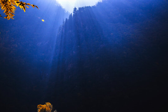 森林风景