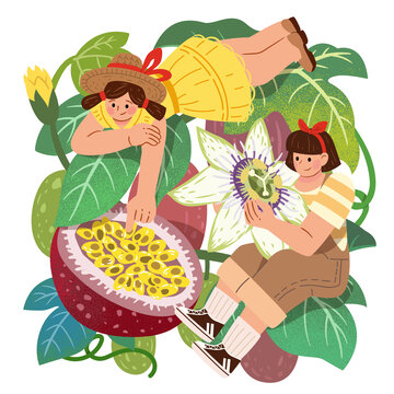 水果與人物 可愛(ài)少女與百香果手繪插圖