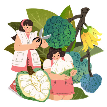 水果與人物 制服女孩與番荔枝手繪插圖