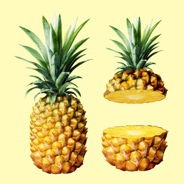 三維夏季香甜鳳梨組合插圖