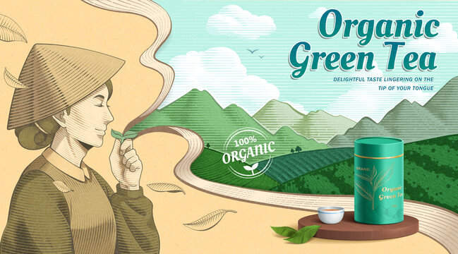 天然綠茶茶葉手繪蝕刻風廣告