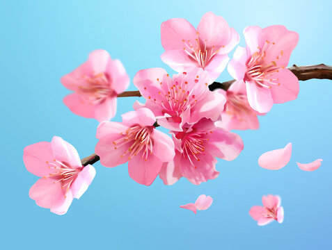 春天粉红色樱花盛开特写素材