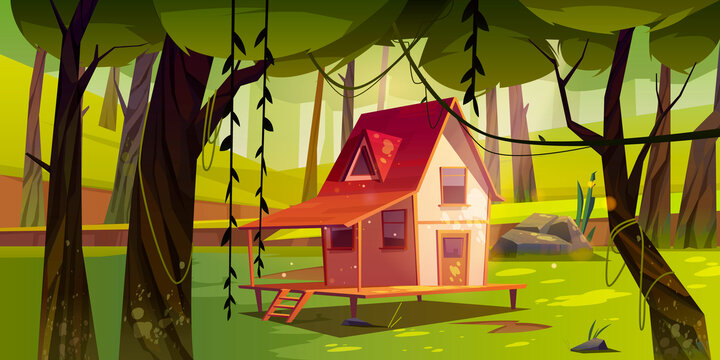 有机森林中的小木屋 阳光洒落插图