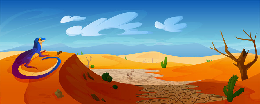 沙漠里沙丘上的蜥蜴插图