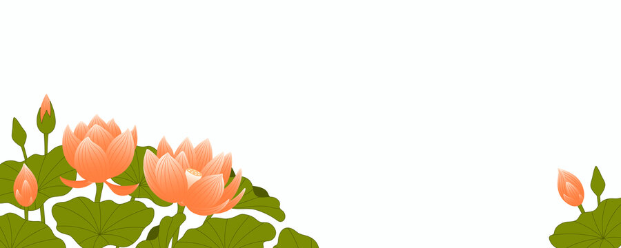 荷葉與蓮花 亞洲風(fēng)平面插圖橫幅
