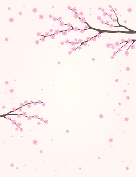 树枝上的淡粉色梅花飘落 平面插图