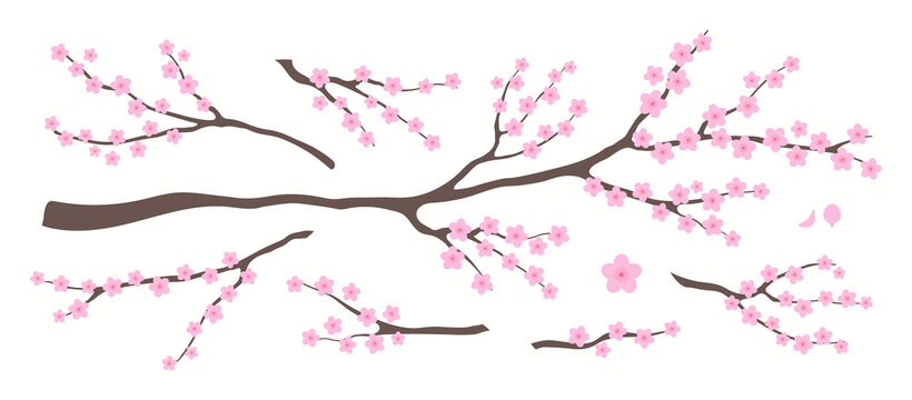 樹枝上盛開的粉色梅花 平面插圖素材