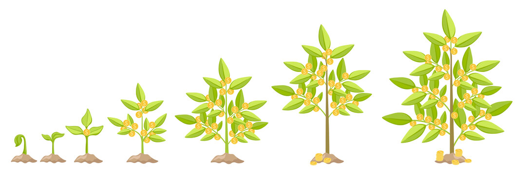 金钱树发芽生长过程 投资收益概念平面插图