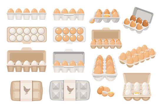 不同角度的盒装鸡蛋 平面插图素材集合