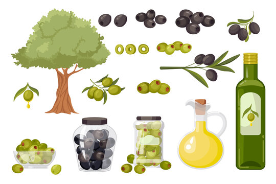 橄榄树与果实 有机产品插图素材集合