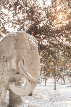 冬天雪后的沈阳清昭陵