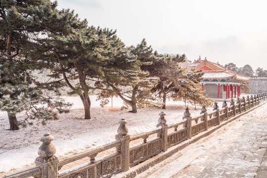 冬天雪后的沈阳清昭陵