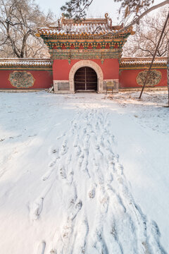 冬天雪后的沈阳清昭陵