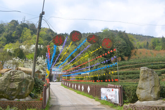 雅安蒙顶山茶园及农家乐