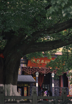 昭觉寺寺庙静物大门