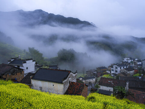 雨后烟雨