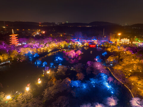 武汉东湖磨山樱花园夜景风光