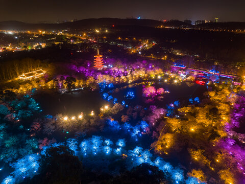 武汉东湖磨山樱花园夜景风光