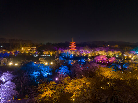 武汉东湖磨山樱花园夜景风光