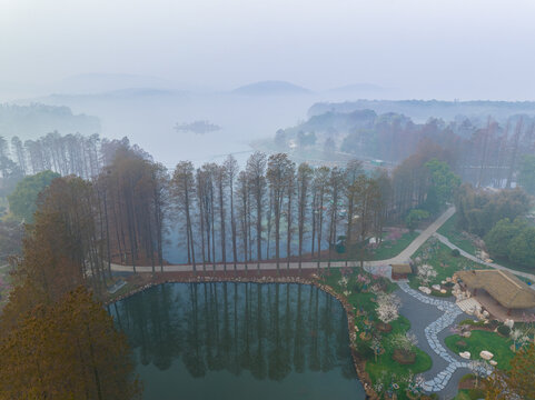 武汉东湖磨山梅园春季风光