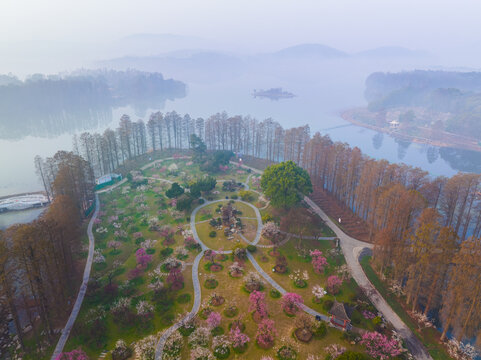 武汉东湖磨山梅园春季风光