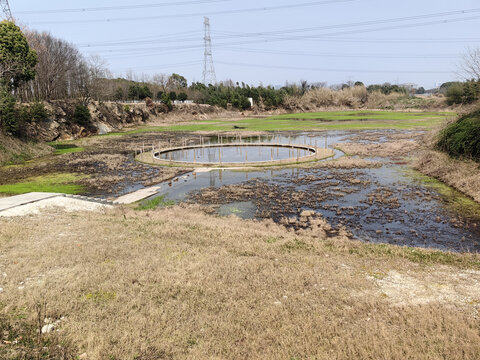 胥山旧址水牛斗牛场