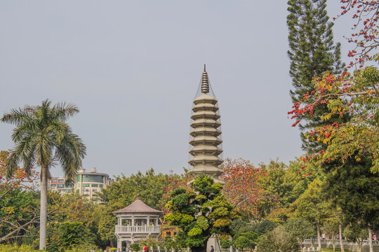 厦门南普陀寺万寿塔与树林