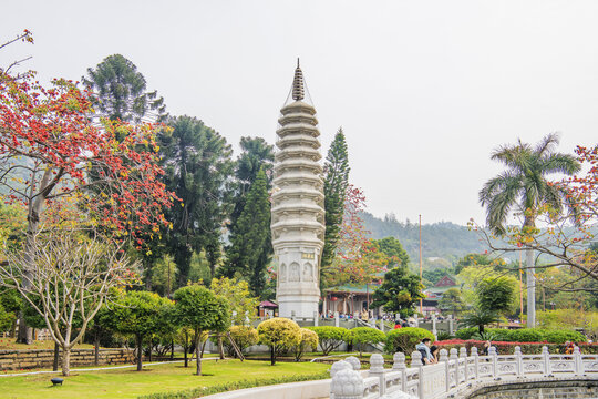 厦门南普陀寺万寿塔与树木