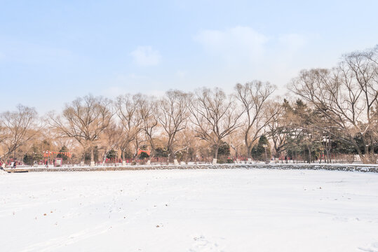 冬天雪后沈阳北陵公园风景