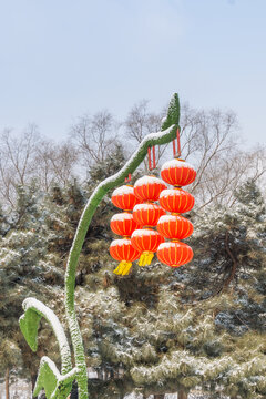 雪后沈阳北陵公园里的红灯笼