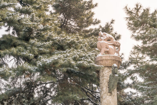 雪后清昭陵的华表特写