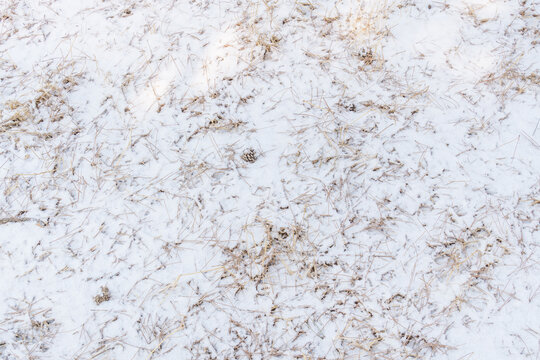 雪地纹理特写