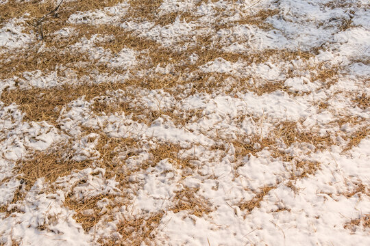 雪地纹理特写