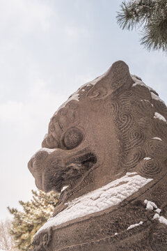 雪后辽宁沈阳清昭陵的石狮