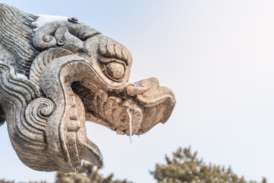 雪后清昭陵的龙头雕塑特写