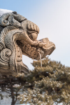 雪后清昭陵的龙头雕塑特写