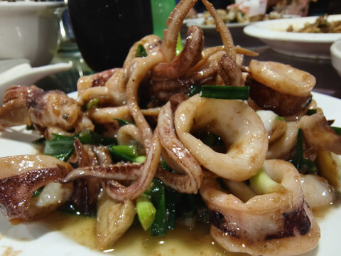 魷魚