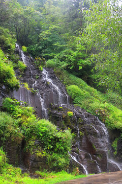 长白山望天鹅风景区