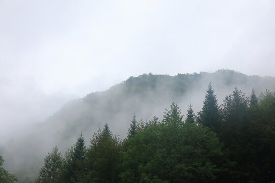 长白山望天鹅风景区