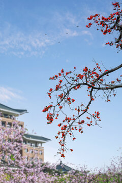 花城三月