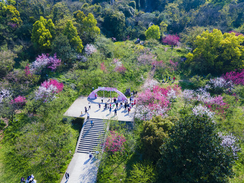 绍兴吼山桃花节航拍