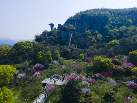 绍兴吼山桃花节航拍